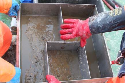 Figure 2: Splitting of biological (2 x 0.1 m2) and chemical (1 x 0.05 m2) samples in the box corer.