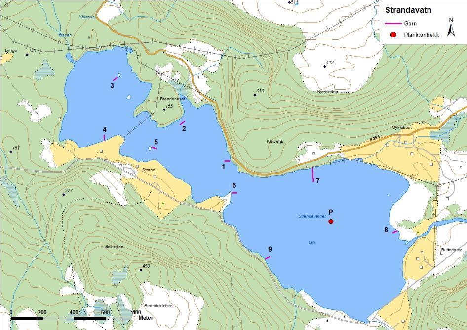 4.2 Sunnfjord Energi Det vart undersøkt eitt vatn for Sunnfjord Energi i 2015, og det var Strandavatnet i Fjaler kommune. Undersøkinga vart gjennomført i perioden 21. til 22. september. 4.2.1 Strandavatnet Strandavatnet (figur 1 og bilete 1) ligg i Fjaler kommune.