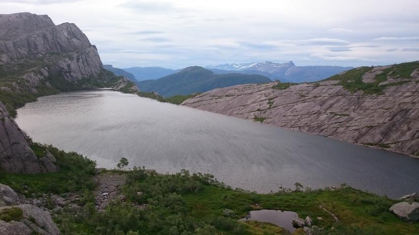 4.3.3.2 Dyreplankton Blant vasslopper var berre Holopedium gibberum og Bosmina longispina registrert i vatnet.