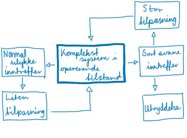 Figur 11: Lewis (2011) sitt forslag til dynamikken til komplekse systemer.