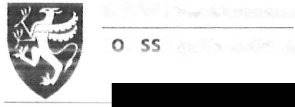 TROMS fylkeskommune R M A fylkkasuohkan Stabssjef Berg kommune h( ---. BERG KOM /1UNE 1\dministrasjon _: o _: n --i we -1 1Y JAN 2014 9385 SKALAND Vår ref.: 13/1 l 584-5 Løpenr.