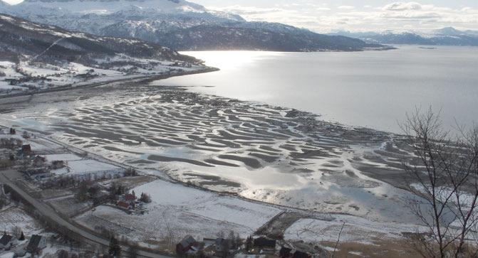 Bløtbunnsområder i strandsonen: Leirer Naturtypen er viktig som beiteområde for fisk og fugl.