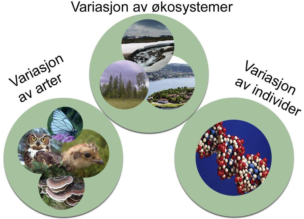 Håndbok for skyte- og øvingsfelt 69 Bilde 9.