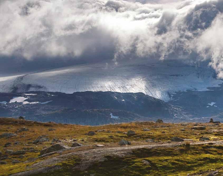 Ut mot Gaupne, som er strekningens endepunkt, går vegen helt nede langs den vakre Sognefjorden.