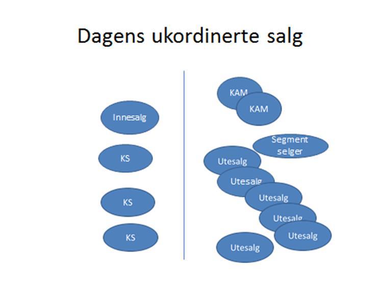 allerede på de viktigste kundene, hvorfor ikke overføre dette til hele salgsorganisasjonen.