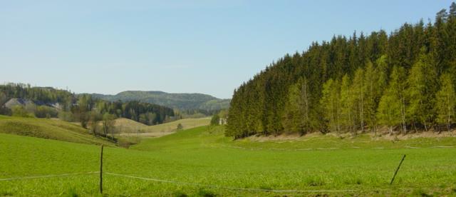 «Eventyrskoger» og nærskoger/hundremeterskoger og randsonen mellom skogen og jordbruksområdene. Skogbruket med randsoner mellom jord og skog. Ravinelandskap.