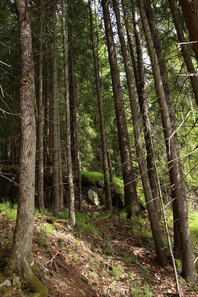 Miljøvirkemidler Naturmangfoldloven omfatter all natur og alle sektorer som forvalter natur eller som tar beslutninger med konsekvenser for naturen. Loven er tverrgående, og utfyller særlovgivningen.