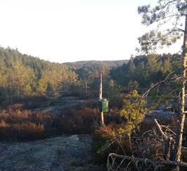 Annet / Mulighet for rundtur(er). Videre mot Bjørkestøl ca 150 m.