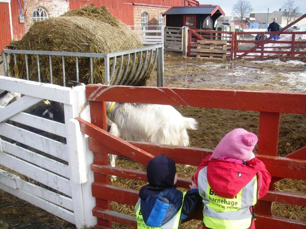 Barna så ofte høyballene i løpet av vinteren, de kunne blant annet se dem fra barnehagens uteområde hvis de tittet gjennom gjerdet og bort på åkeren.