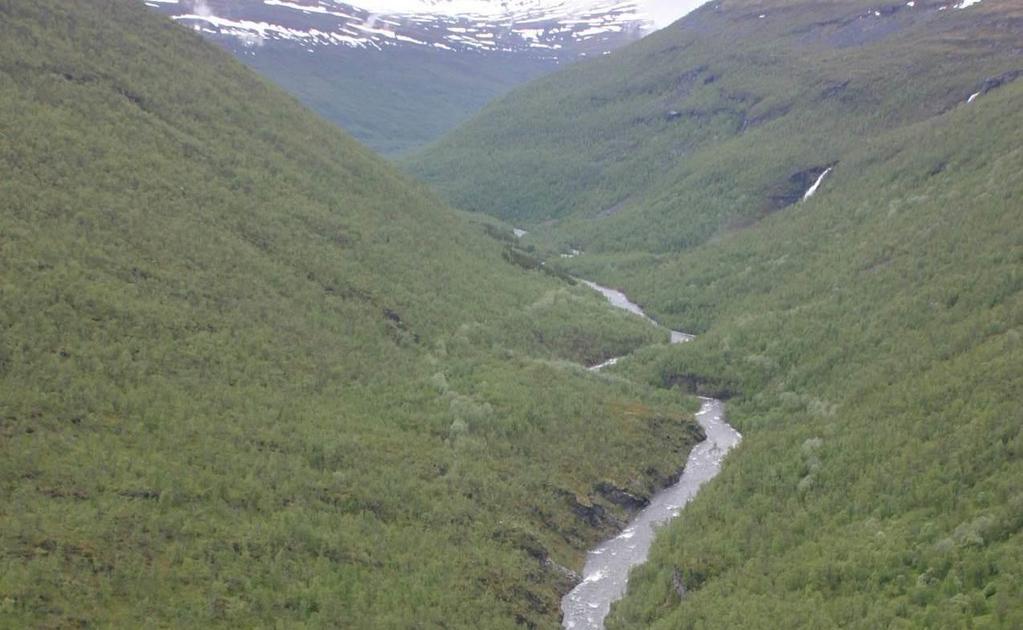 Konsekvensutredning for Stordalen