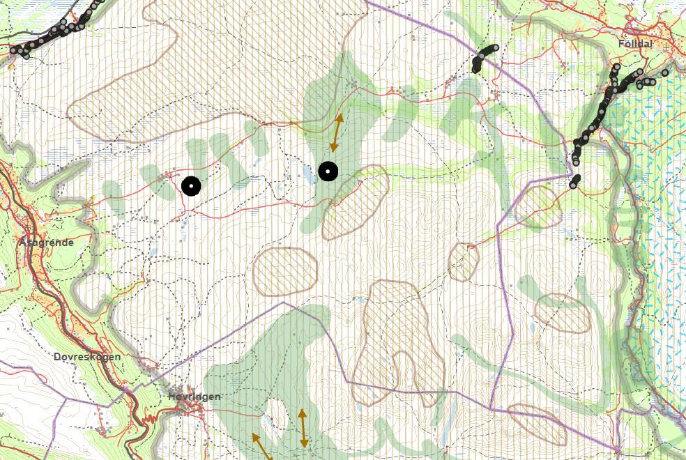 Forholdet til Regional plan for Rondane-Sølnkletten En stor del av vegen inn til Dørålseter ligger i Sone 1 Nasjonalt villreinområde i Regionalplanen for Rondane Sølnkletten, som er definert