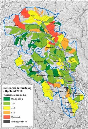 Kartet viser tapsprosent av sau i Oppland 2017.