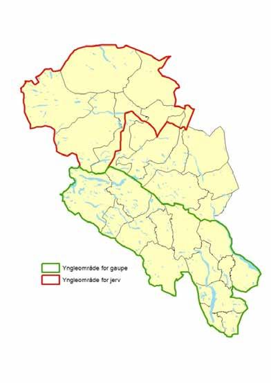 ROVVILT Bestandsmål i Oppland Stortinget vedtok i 2004 følgende bestandsmål for region 3/Oppland: 5 familiegrupper av gaupe årlig 4 ynglinger av jerv årlig Det skal ikke være ynglende bjørn og ulv i