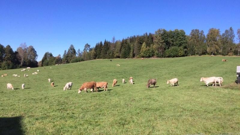 Returadresse: Fylkesmannen i Hedmark Postboks 4034 Foto Kirsten Sørby Dette informasjonsbladet og andre nyheter fra Hedmark finner du på