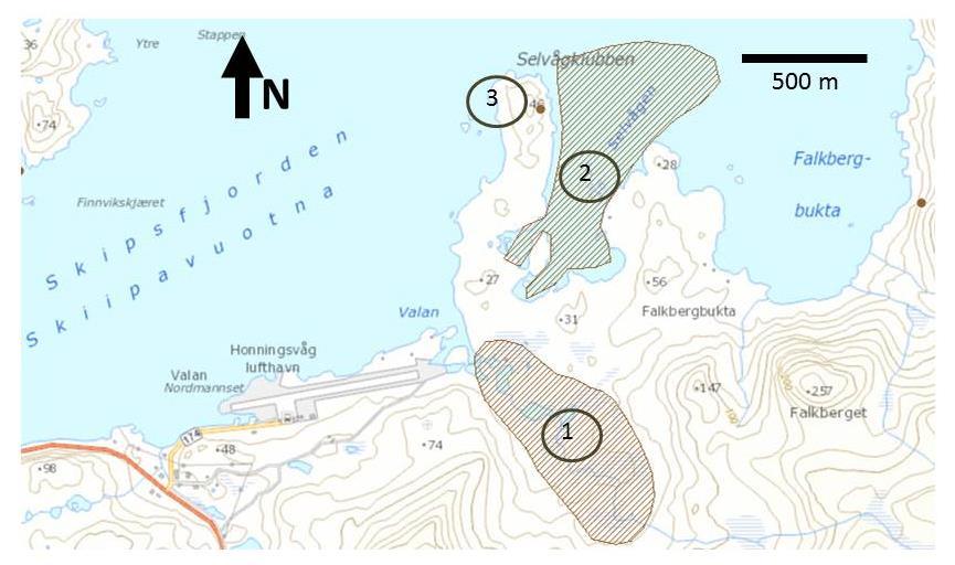 3.2 Eksisterende dokumentasjon om biologisk mangfold I naturbasen til Miljødirektoratet finnes eksisterende informasjon om biologisk mangfold i området (http://geocortex.dirnat.no/silverlightviewer/?