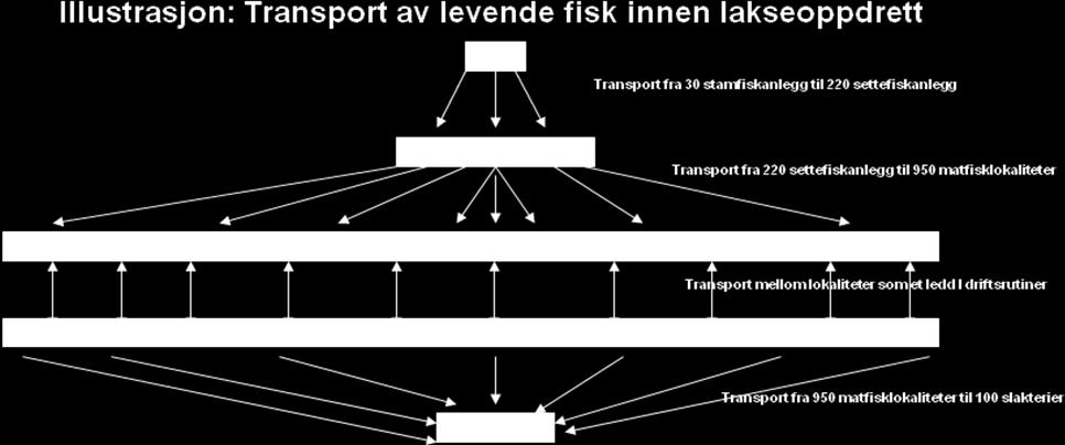 Til sist må slakteklar fisk transporteres fra matfisklokalieten til slakteri. Hvilke ytre rammebetingelser gjelder.