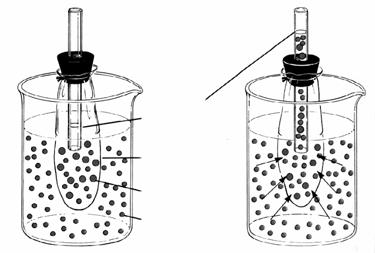 ydroniumioner ( 3 + ) i løsninger, p Både vannet selv og mange andre forbindelser kan miste hydrogen i form av et proton ( + ).