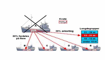 De eksisterende fylkesbindingene vil bli opprettholdt, og det vil heller ikke være tillatt å overføre kvoter mellom størrelsesgruppene. Det er satt et kvotetak på tre kvoter per fartøy.