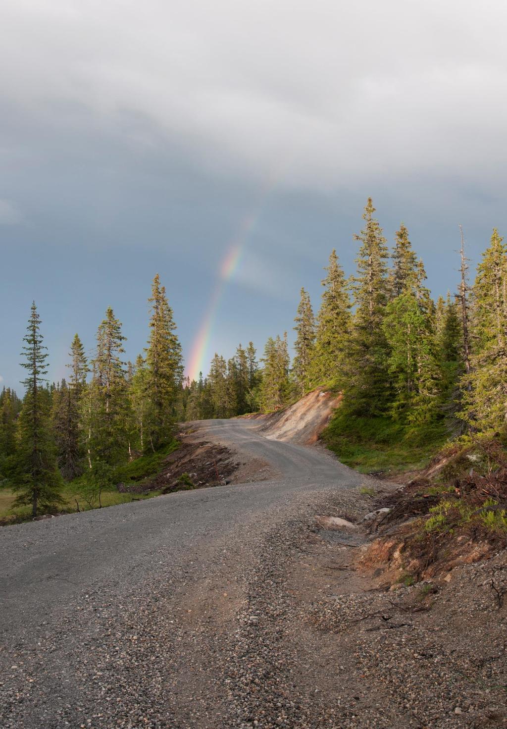 Skogsveger Ombygging av skogsveger har økt kraftig i Oppland.