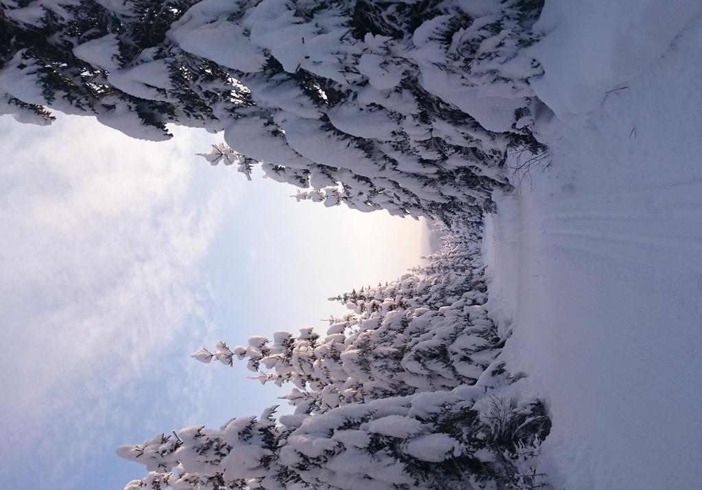 OMSLAGSFOTO: Ole Johan Skjærli Anne Mæhlum, Fylkesmannen i Oppland Jon Sigurd Leine, Fylkesmannen i Oppland Ivar Ødegaard, Fylkesmannen i Oppland Fylkesmannen i Oppland har følgende avdelinger: