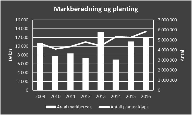 Skogkultur Ettårige granplanter. Fotograf: Anne Mæhlum / Fylkesmannen i Oppland Skogkultur Planting I 2016 ble det plantet rekordmange planter i Oppland.