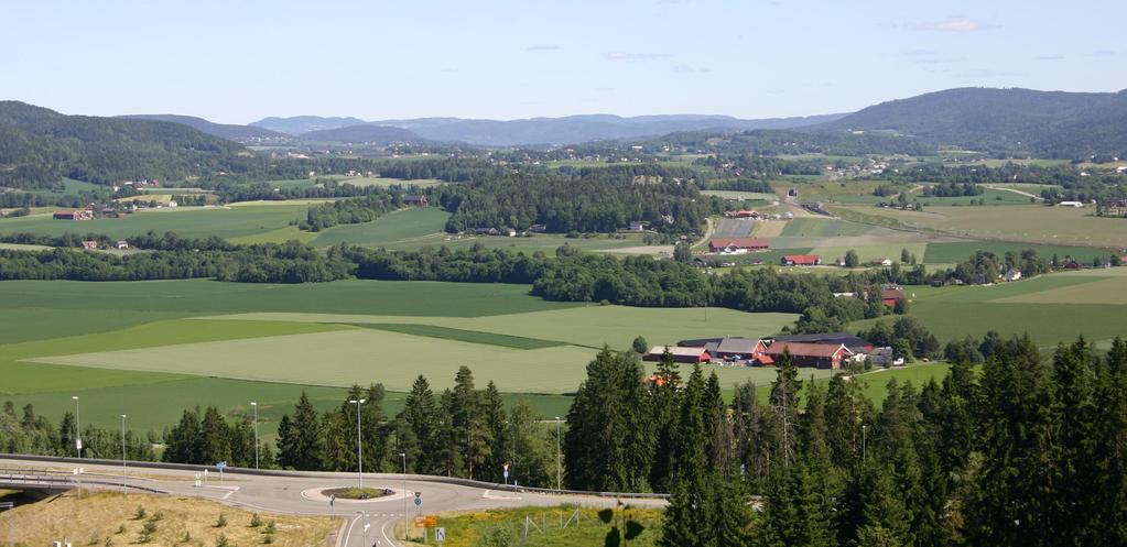 Siri Svendgård-Stokke, Kompetansesamling