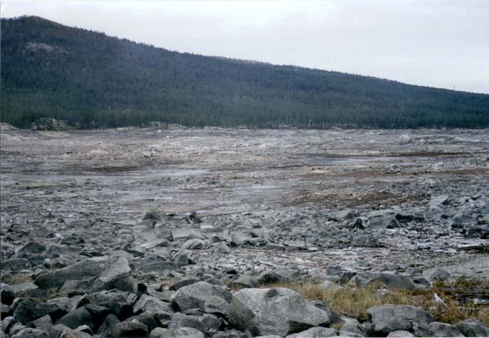 18 Fig. 3. Lav vannstand i Pålsbufjorden gir store tørrlagte områder i Rødtjennan. Foto: Åge Brabrand. 5.