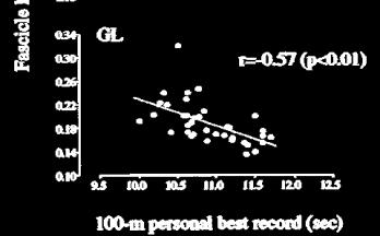 Andel (%) Fasikkellengde/beinlengde Styrke- og sprinttrening i 1 uker 6 4 3 1