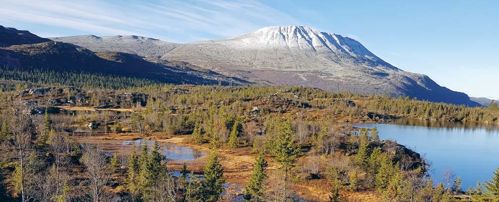 Lungekreftforeningen ønsker velkommen til velferdstur til Gaustablikk, Rjukan og Vemork Sett av helga 18. 20. august! Da møtes vi på Gaustablikk høyfjellshotell og har en fin weekend sammen.