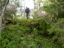 Svestad) Ved Botnvatnan og sør for Øvresvanvatnan er det tidligere registrert en aalijje (heller) og etter tradisjonen skal det ha vært samisk bosetning ved Tasklivatnet, i Kilmarka og nært gården