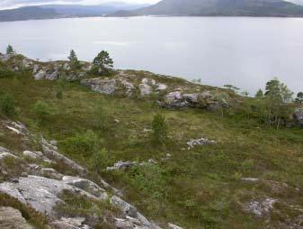 Deltema kulturhistorie_ 31 Figur 18. Del av samlegjerde for tamrein ved Draugvikneset rest av mur ses i forgrunnen. Anlegget utnytter en naturlig bergskorte (fortsetter til venstre i bildet).