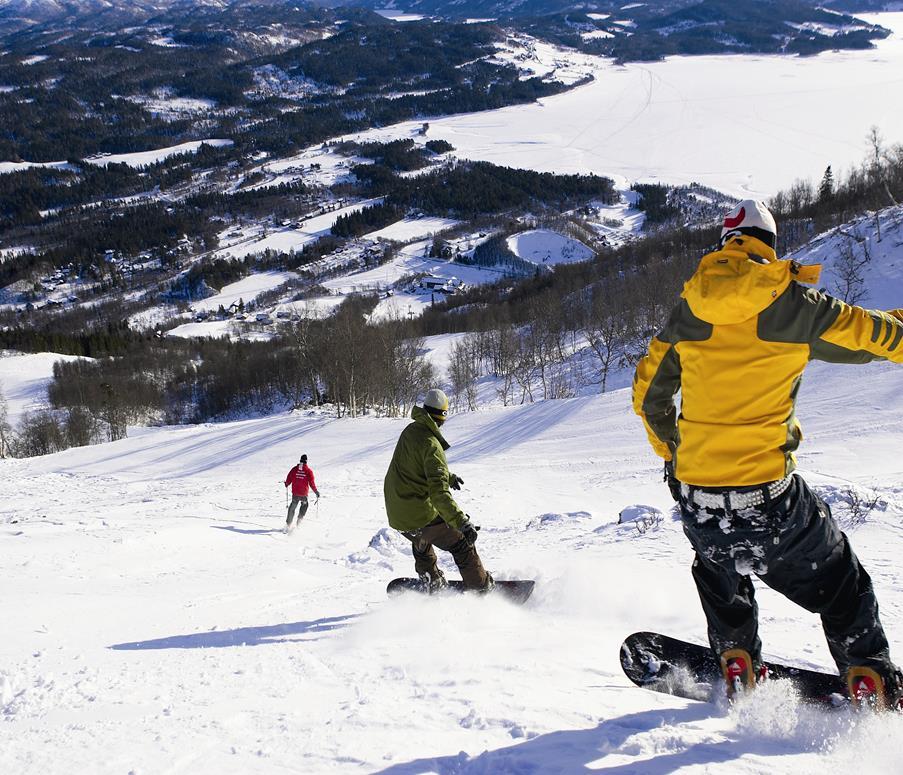 Samfunnsutviklinga i fjellbygdene har