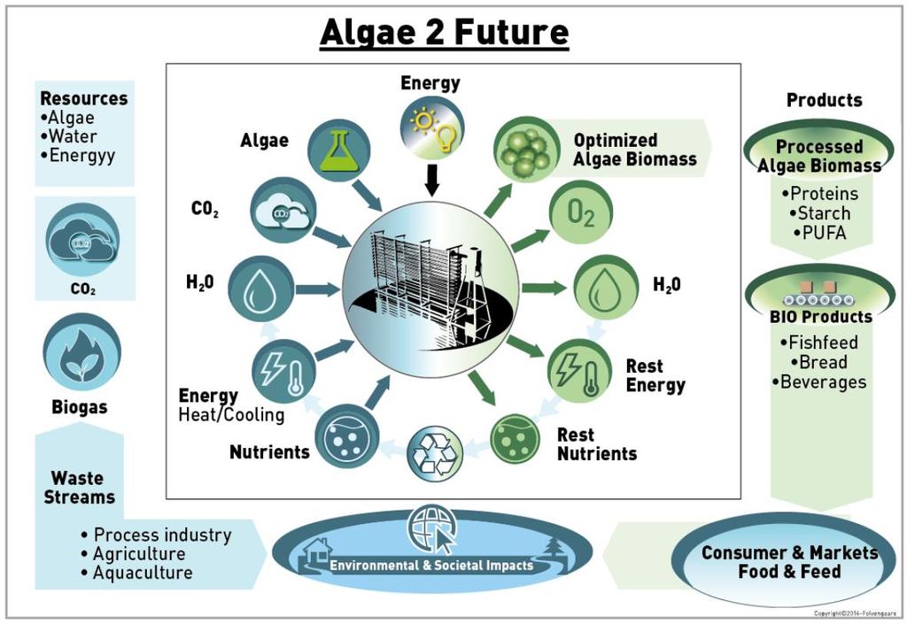 Algae2Future 2017-2020 (NFR