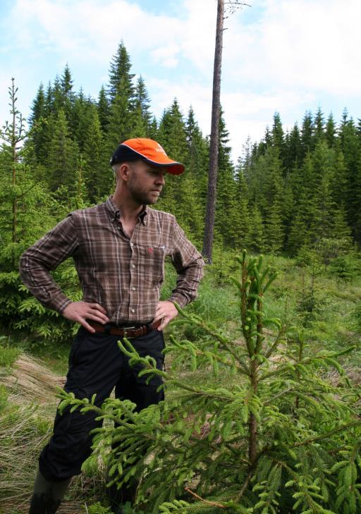 En betenkt skogeier Jan Henrik Opsahl observerer beitekader på gran er dette framtiden?
