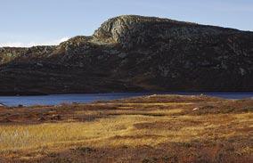 Bjørnehalli 1154 m (Etnedal) 11,5 km t/r / 300 høydemeter / 3 4 timer t/r.