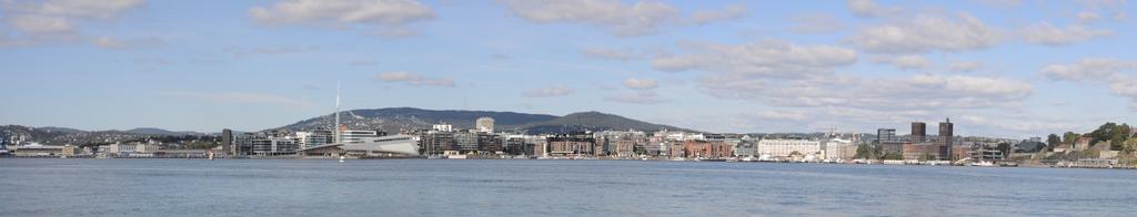 1 INTRODUKSJON I forbindelse med prosjektet Ren Oslofjord er det gjennomført tiltak i forurensede sedimenter i Oslo Indre Havn (Figur 1-2).