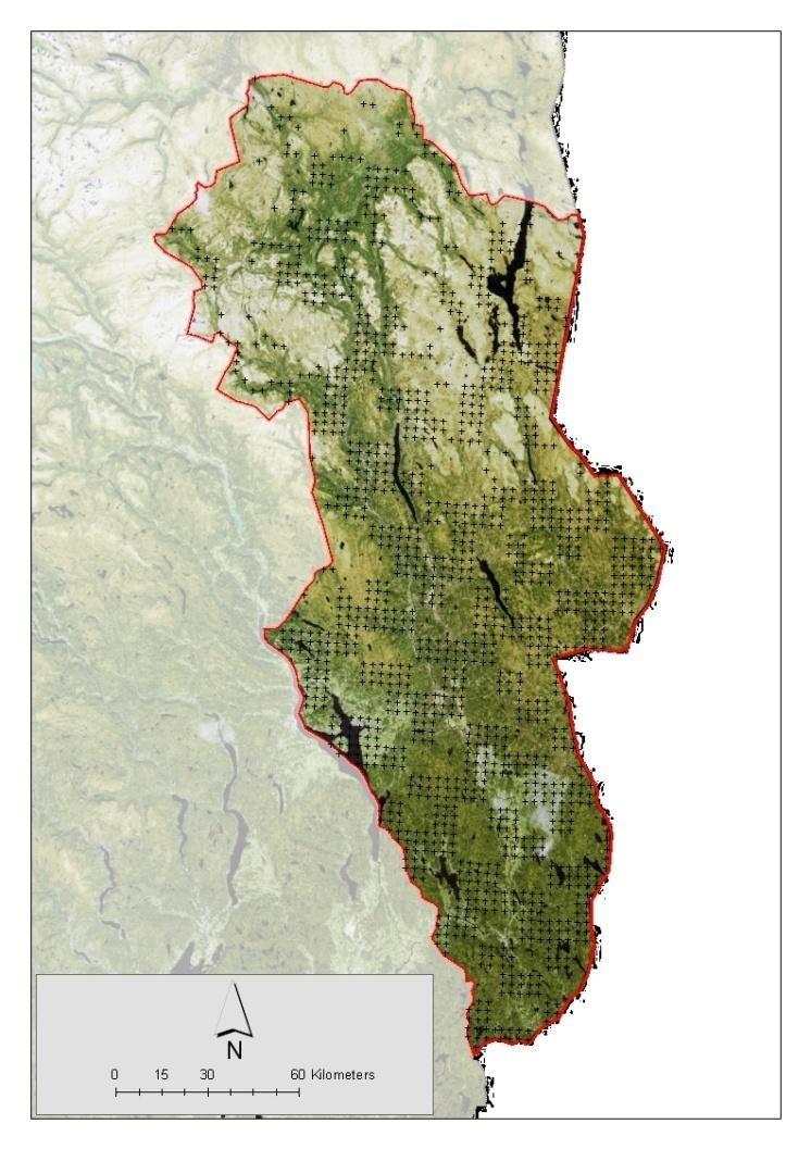 Et design testet i Norge