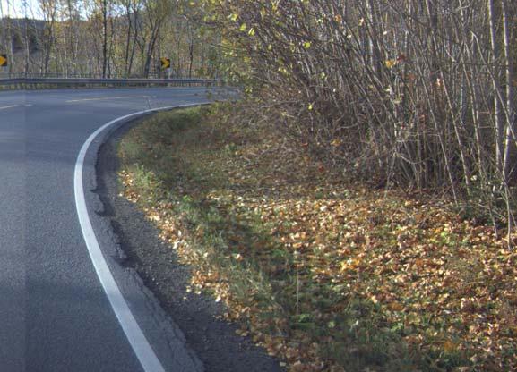 Punkt nr.: 38 Fv68 Fra Oslo til E6 5900-600 med Grener og kvister fra sideterrenget kan stedvis henge ut mot veien og forhindre sikt gjennom kurven.