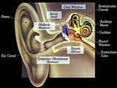 MPEG-1 Audio Psychoacoustics in sound compression How do we hear?