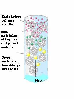 Dialysemembranen har en porestørrelse som tillater små molekyler (inkludert salter) til å diffundere over, mens store molekyler blir holdt tilbake.