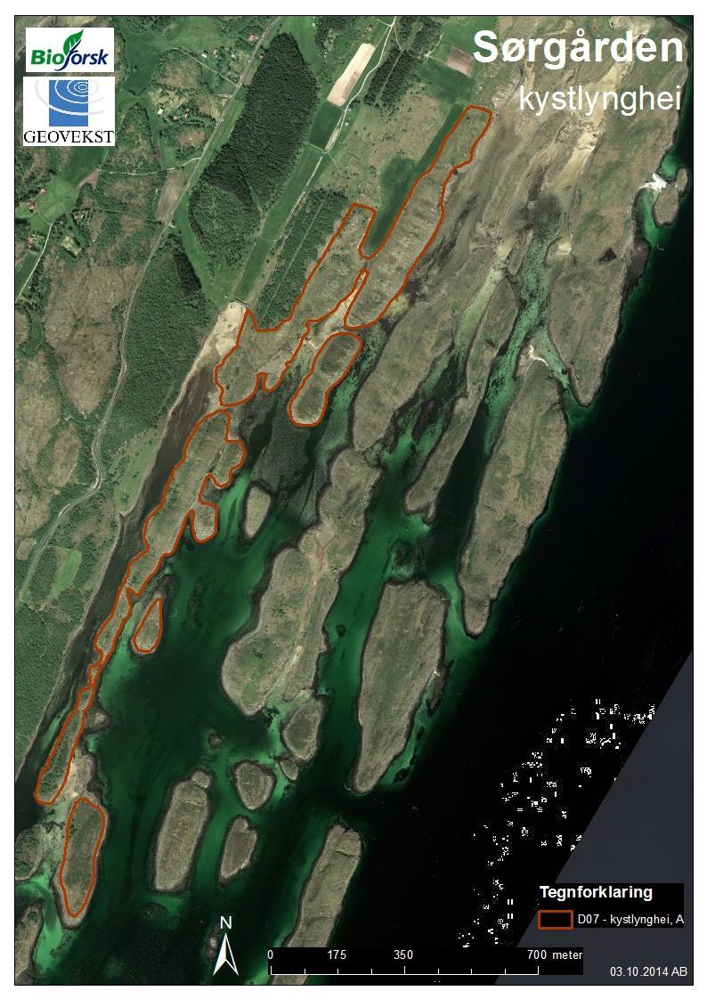 VEDLEGG 1 Kart med arealavgrensning av kystlyngheilokalitet Figur 1: Arealavgrensning av kystlyngheilokaliteten på Sørgården i Blomsøya,