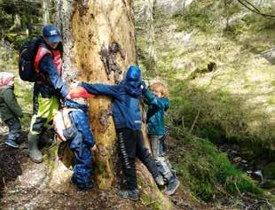 00 Naturlos: Lokalkjent Arrangør: 4H Vest-Agder Tlf: 906 68 003 03 Rundtur fra Sjølingstad Oppmøte på Sjølingstad Uldvarefabrik. Rundturen går fra den gamle Sjølingstadveien til Valle sogn, Tredal.