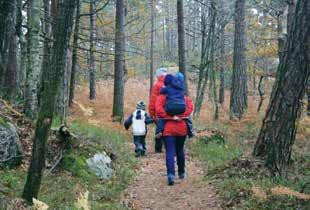 OKT. - NOVEMBER NOV. - DESEMBER z OKT. 15 z OKT. 22 Ti På Topp - fellestur Årosveden Toppvert og naturlos viser vei til en av årets utvalgte topper.