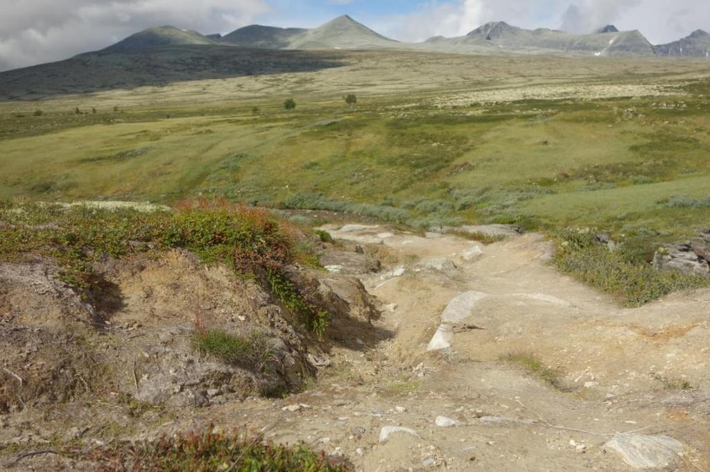 Tabell 21. Sårbarhetsvurdering for lokalitet Spranget (areal). Vurdering av tiltak forklares og beskrives i teksten nedenfor.