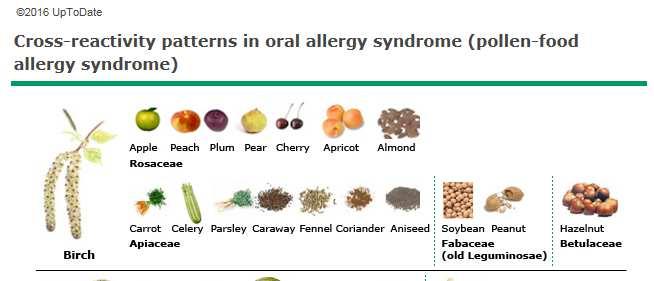 til et liknende allergen -