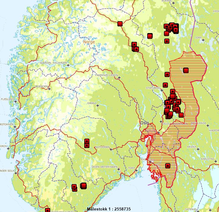 Vurdering av skadepotensialet på husdyr og tamrein For landet som helhet har det vært en markert nedgang i antall sau som er verifisert tatt av rovvilt, og sau erstattet som drept av rovvilt de siste