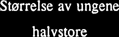 H. pers. medd.). Dagen etter ble det talt opp 51 stykker ved ~viningen1abiltenomrildet. Ut i fra størrelsen pil de registrerte ungene i omrildet den 21.7.