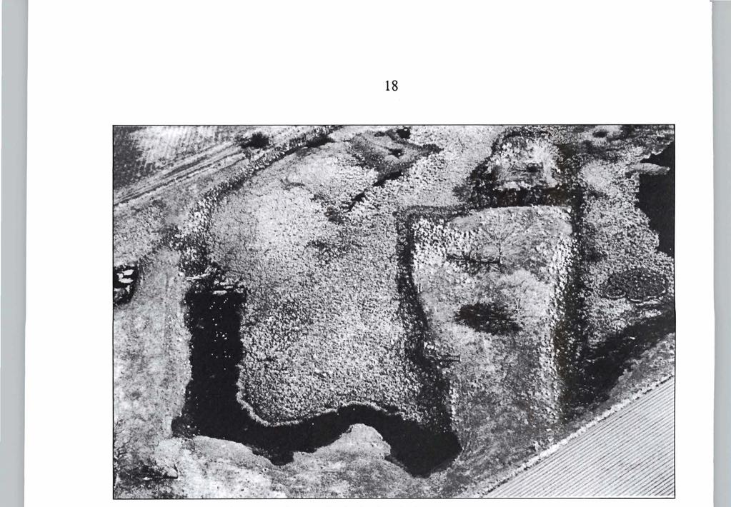 Figur 4. Oversiktsbilde over hettemakekolonien i Mttsdarnmen sommeren 1994. Foto: Otto Frengen. 3.5. Rødnebb- og makrellterne Den 29.6. ble det talt opp 37 ternereir pi Øksningen.