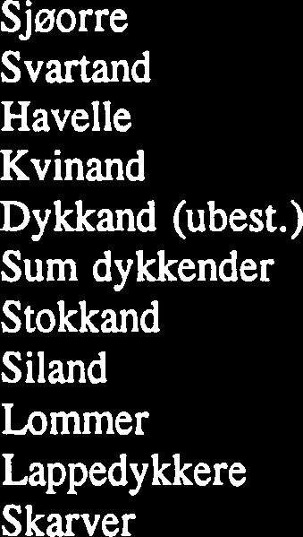 For svartand (som opptrer i smil mengder vinters tid), havelle, stokkand, siland og lommer er det ingen klar trend, mens kvinand, lappdykkere og skarver synes A opptre i større mengder nil enn