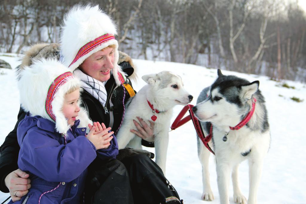 Valg av hund spor).